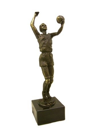 WMA249 Volleybal 25CM