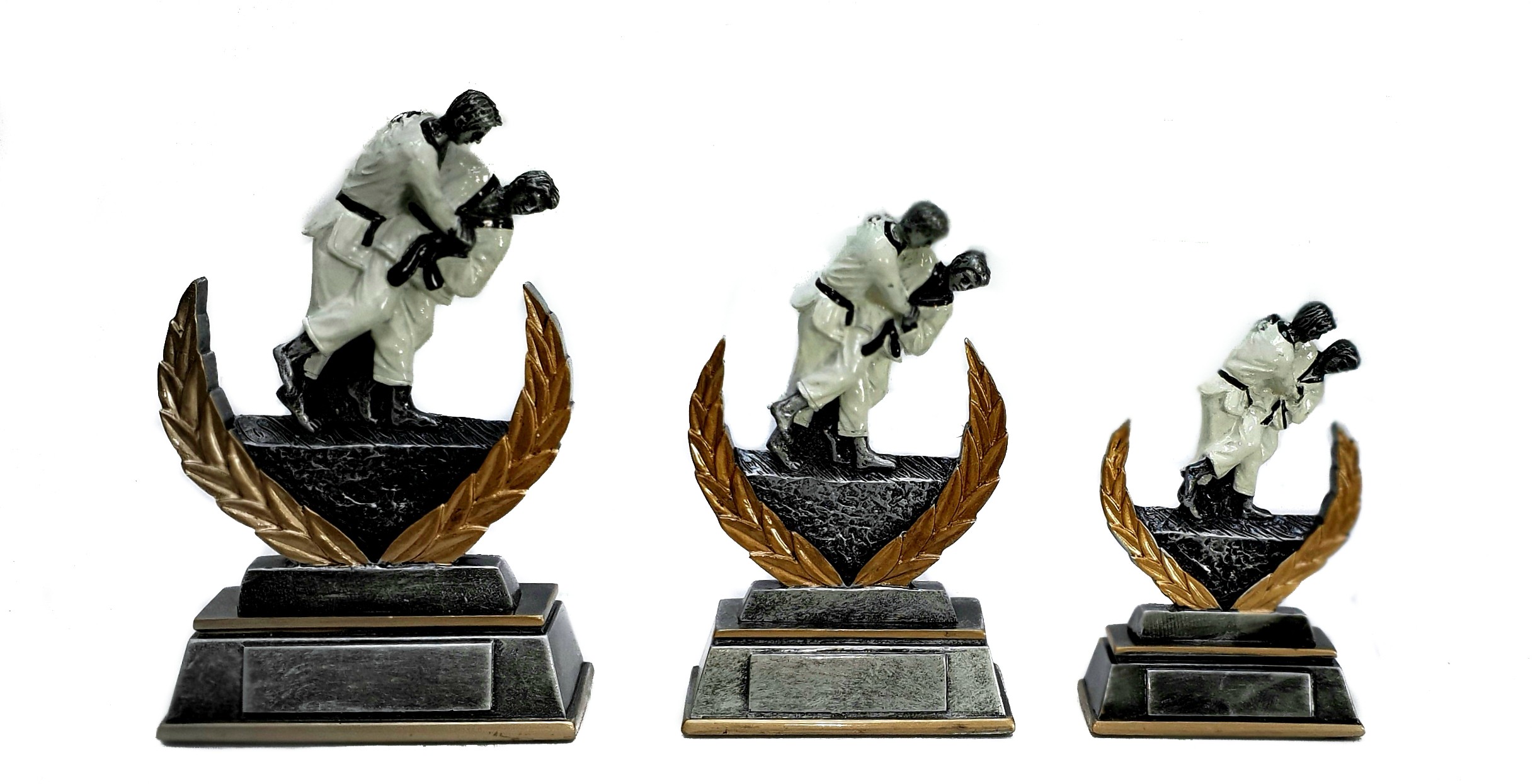 WSA 20 Serie Judo 