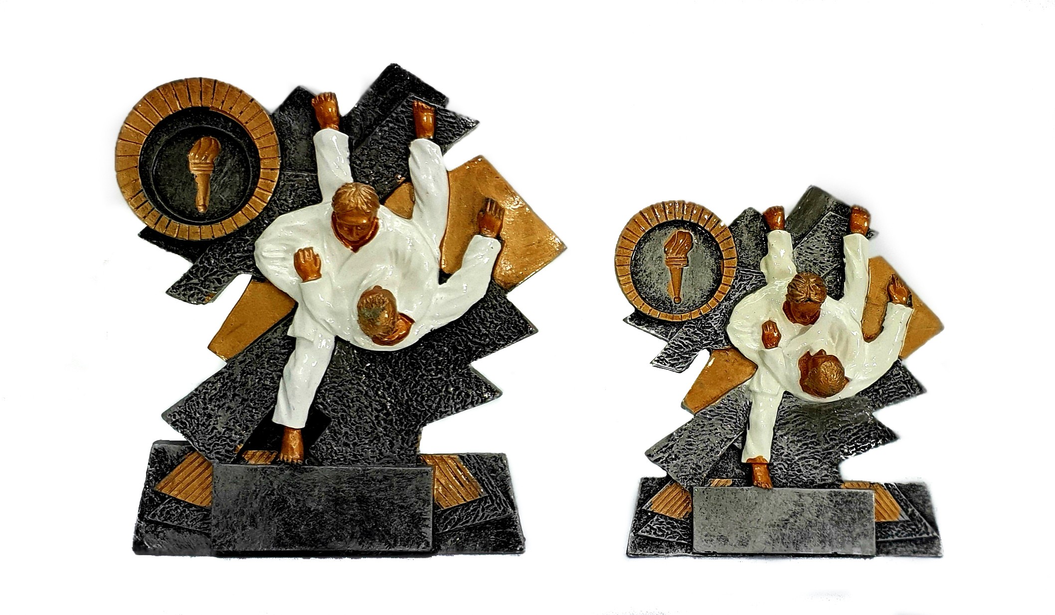 WSA 21 Serie Judo