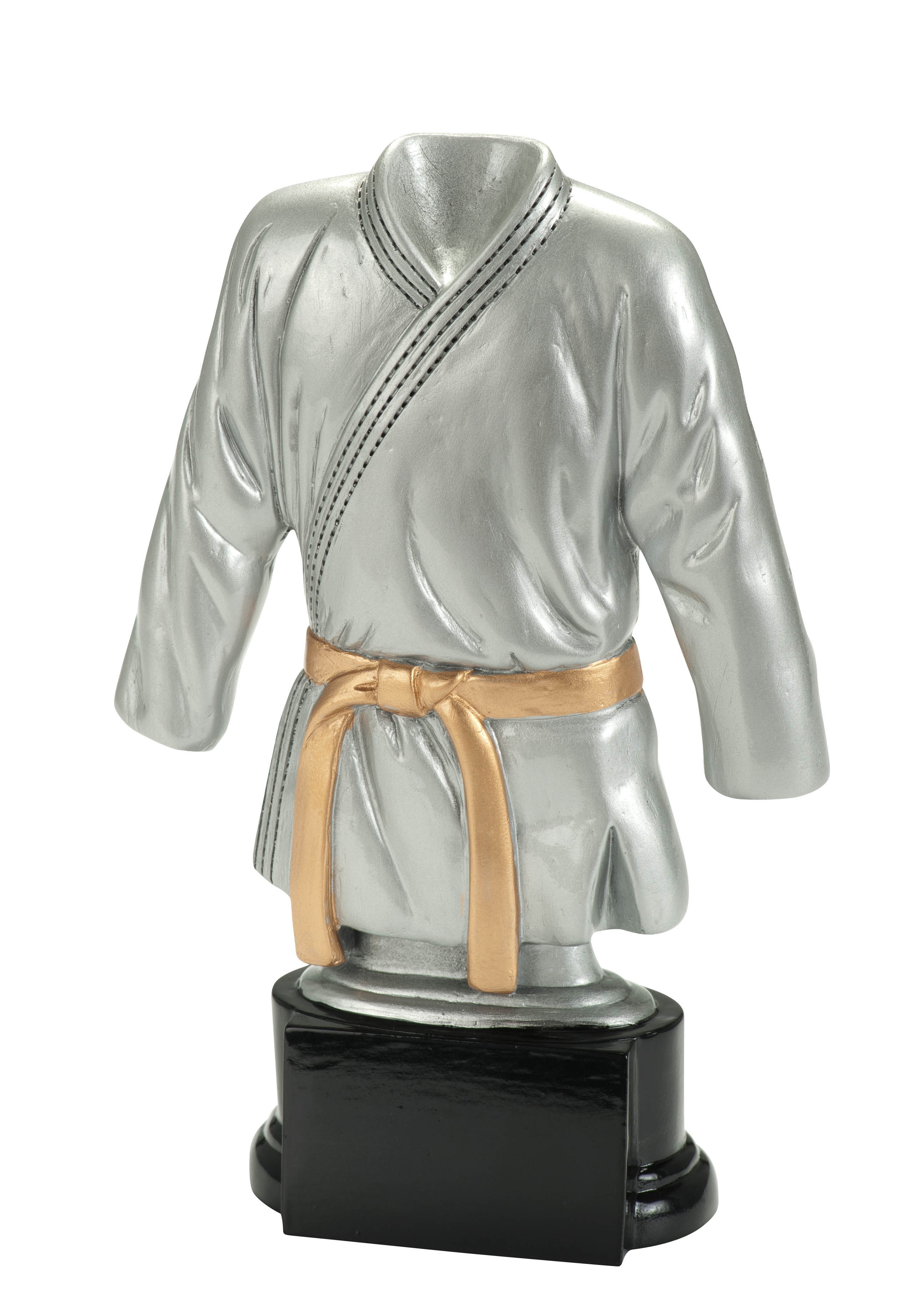 Award vechtsport WFG1643 Serie