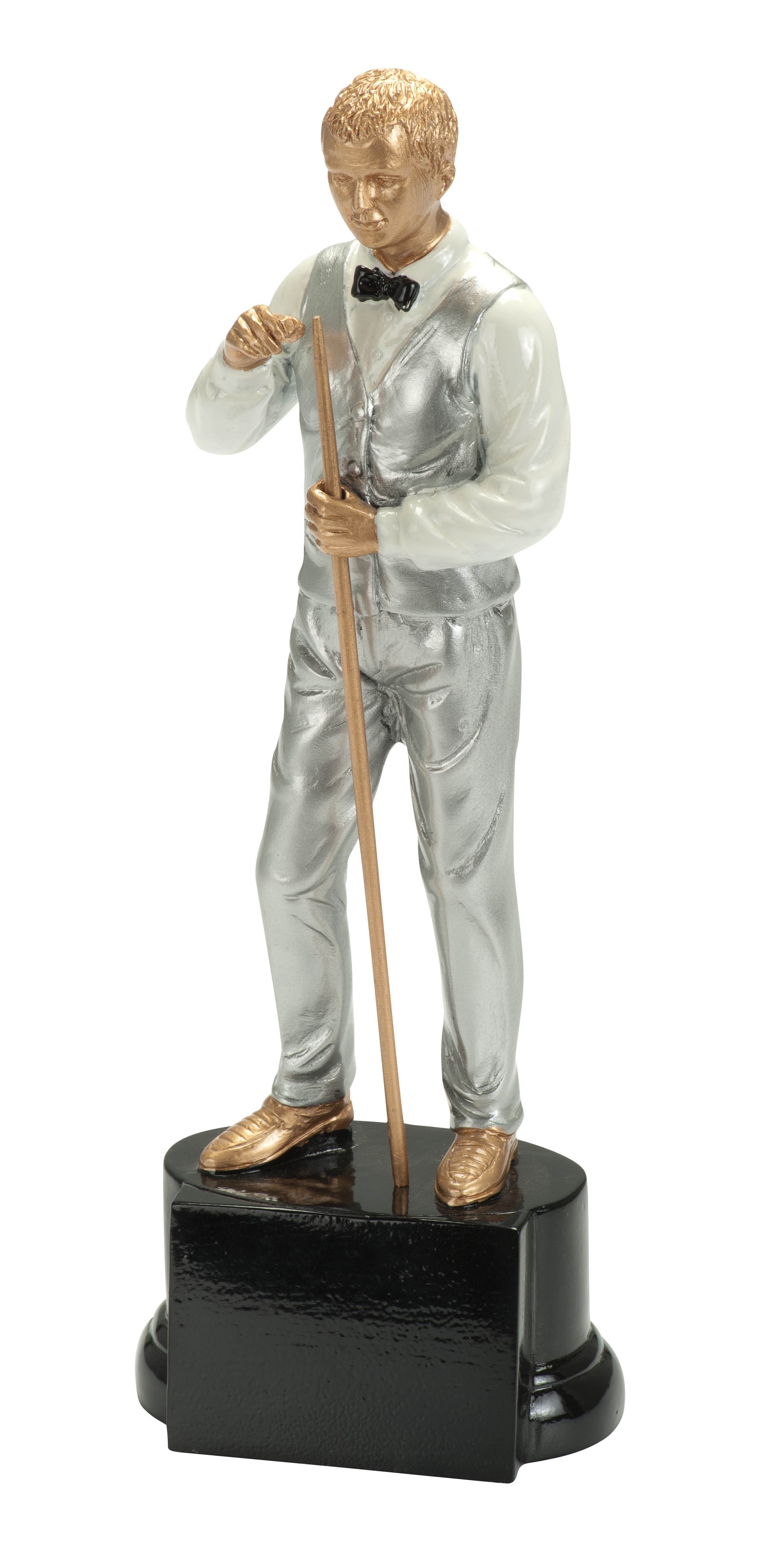 Award Pooler / Snooker / Biljart WFG1646