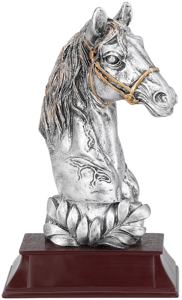 Standaard Paardenhoofd WST350 100x170 