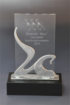 Award WTRK 1003C 30cm