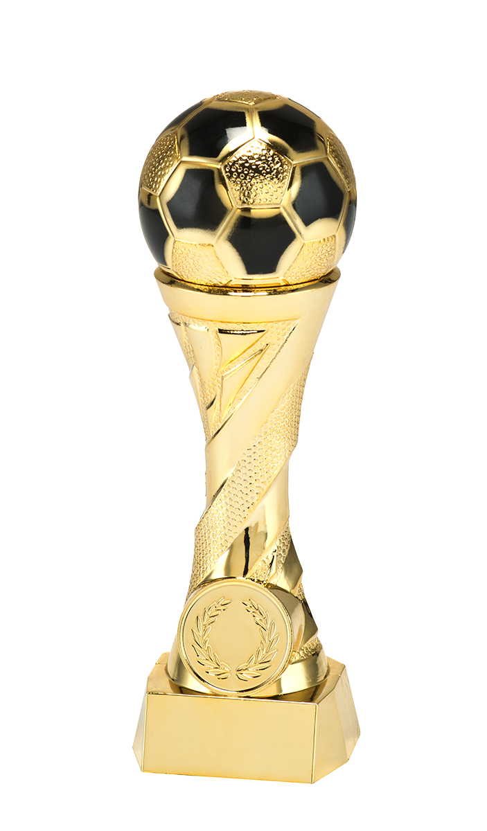 WX 820.01 Goud Serie Voetbal