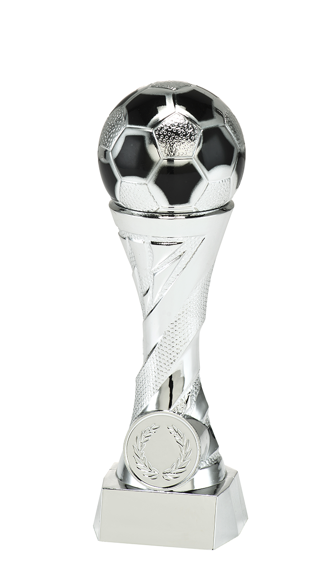 WX 820.02 Zilver Serie Voetbal