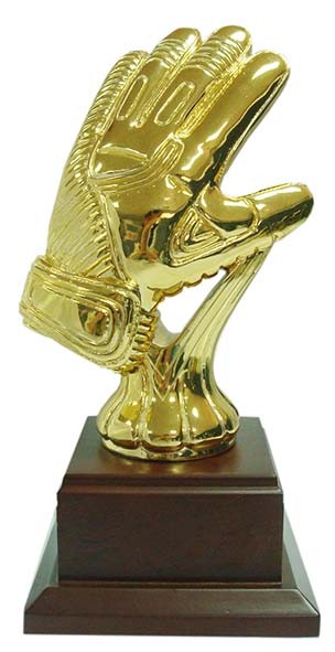 Award Handschoen WZ100 27CM