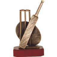 Luxe trofee cricket 24.5cm WBEL 202B