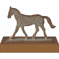 Luxe trofee paard WBEL 790B 16.5cm