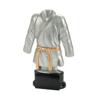 Award vechtsport WFG1643 Serie