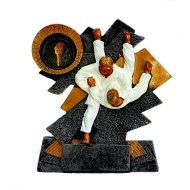 WSA-21 Judo Serie