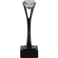 Award Diamant in houder 28cm WTRC 311B