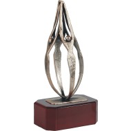 Award WTRL 385C 27,5cm