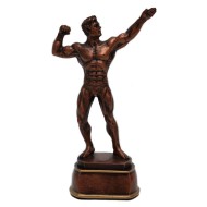 WSA-10 Bodybuilder Brons 18cm