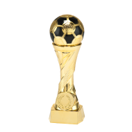 WX 820.01 Goud Serie Voetbal