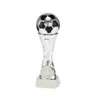 WX 820.02 Zilver Serie Voetbal