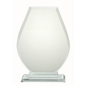 Glazen Trofee Serie W360
