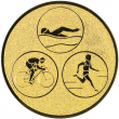 triathlon,74