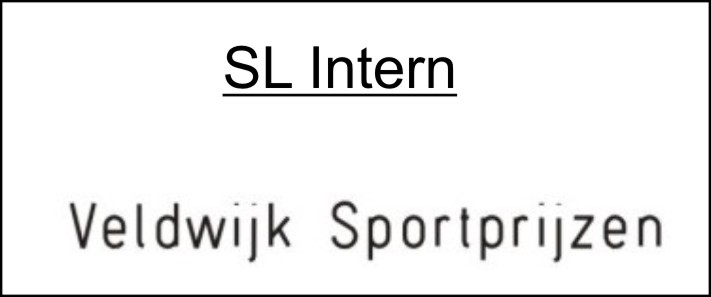 SL Intern