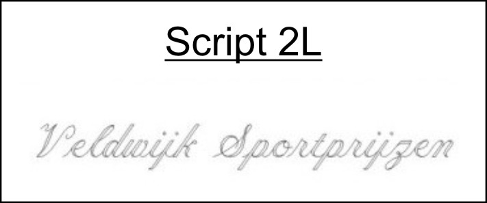 Script 2L