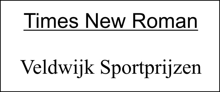 Times New Roman